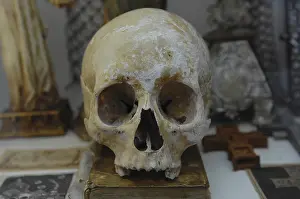 Skull Bone Structure Drucke: Human skull