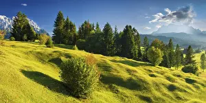 Central European Wilderness Areas Drucke: Humpback meadows between Mittenwald and Krun