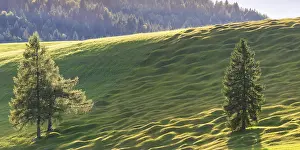 German Countryside Images Drucke: Humpback meadows between Mittenwald and Krun