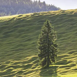 Central Europe Deserted Landscapes Drucke: Humpback meadows between Mittenwald and Krun