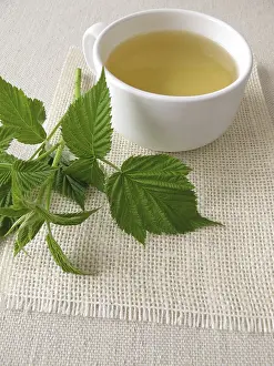 Medicinal Plants Drucke: I am not here