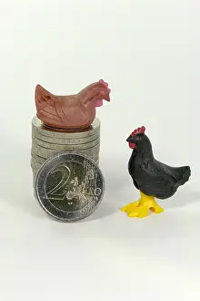 Art Photography Drucke: iblfsr00065720