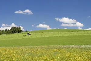 Allgau Germany Drucke: ibxmsi00017702.jpg