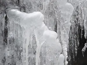 Winter Nature Photography Drucke: Ice
