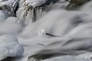 Lower Austria River Drucke: Ice-covered stones in the river bed of the Triesting