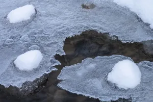 Scandinavian Water Scene Drucke: Ice cream formation in a stream
