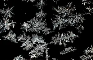 Colourful Composition Drucke: Ice crystal