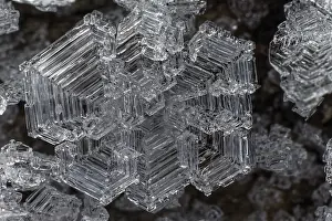 Ice Crystal Structure Drucke: Ice crystal, structure, black and white image