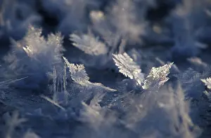 Winter Nature Scenes Drucke: Ice crystals