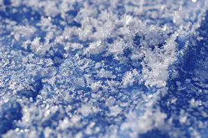 Ice Crystals Drucke: Ice crystals