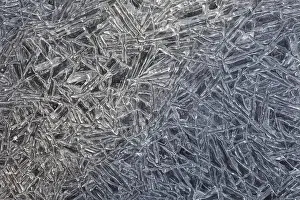 Cold Weather Photography Drucke: Ice crystals