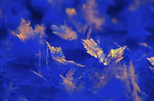 Winter Nature Scene Drucke: Ice crystals