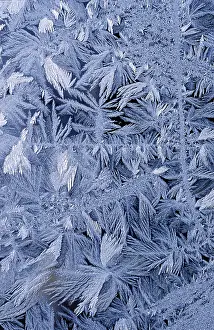 Cold Weather Photography Drucke: Ice crystals