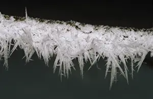 Winter Nature Photography Drucke: Ice crystals