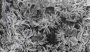 Close Up Ice Crystal Drucke: Ice crystals at a window