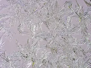 Macro Winter Scene Drucke: Ice crystals at a window