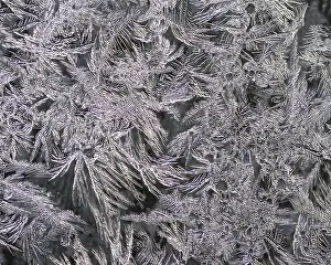Close Up Ice Crystal Drucke: Ice crystals at a window