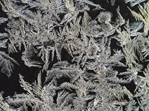 Close Up Ice Crystal Drucke: Ice crystals at a window