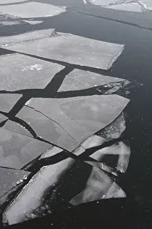 Winter Nature Scene Drucke: Ice floes