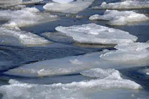 Winter Season Scenery Drucke: Ice floes