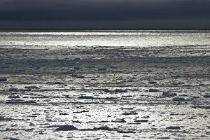 Spitsbergen Island Norway Drucke: Ice floes, edge of the pack ice