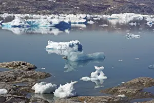 Arctic Landscape Drucke: Ice floes are reflected in calm