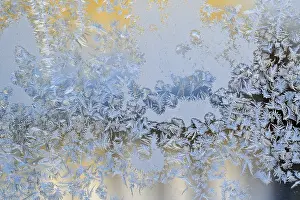 Ice Crystal Close View Drucke: Ice flowers on the window