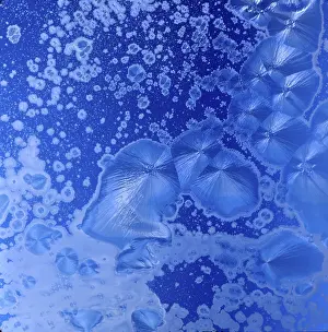 Close Up Ice Pattern Drucke: Ice flowers at the window