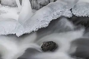 Northern Europe Winter Scene Drucke: Ice formations on a flowing stream