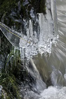 Frozen Creek Drucke: Ice formations on the stream