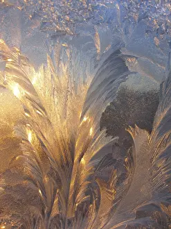 Deserted Wintry Scene Drucke: Ice pattern and sunlight on winter glass