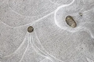Wavy Ice Structure Drucke: Ice patterns in a puddle, Hesse, Germany