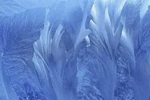 Cold Climate Photography Drucke: Ice patterns on winter glass