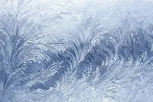 Deserted Winter Scene Drucke: Ice patterns on winter glass