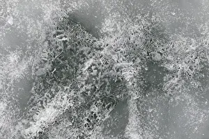 Ice Structure Saint Lawrence River Drucke: Ice structure, Saint Lawrence River