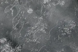 Close Up Ice Crystal Formation Drucke: Ice structure, Saint Lawrence River