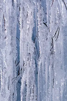 Austrian Winter Landscapes Drucke: Ice structures, icicles, Vomperloch