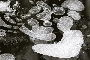 Ice Structures In Puddle Drucke: Ice structures in a puddle, air pockets in the ice