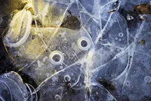Central European Winter Landscapes Drucke: Ice structures in a puddle, Hesse, Germany