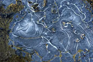 Frozen Puddle Europe Drucke: Ice structures in a puddle, Hesse, Germany