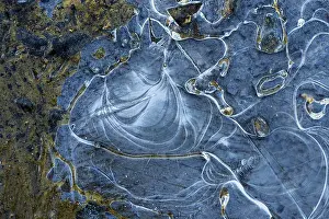 Central Europe Ice Formations Drucke: Ice structures in a puddle, Hesse, Germany