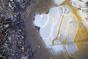 Ice Structures In Puddle Drucke: Ice structures in a puddle, Hesse, Germany
