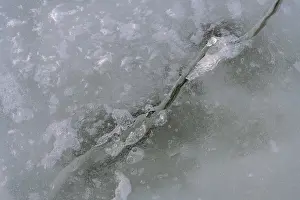 Frozen Cityscape Sweden Drucke: Ice structures, Storsjon, Ostersund