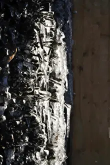 Wintry Germany Drucke: Ice, Winter, Germany