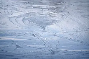 Wintry Germany Drucke: Ice, Winter, Germany