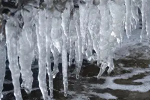 Ice Covered Germany Drucke: Ice, Winter, Germany