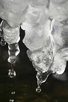 Ice Covered Germany Drucke: Ice, Winter, Germany