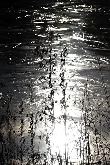 German Winter Scene Drucke: Ice, Winter, Germany