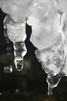 Wintry Germany Drucke: Ice, Winter, Germany