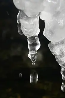 Wintry Germany Drucke: Ice, Winter, Germany